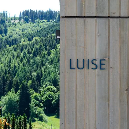 Sauerland - Haus Luise Holiday home Winterberg
