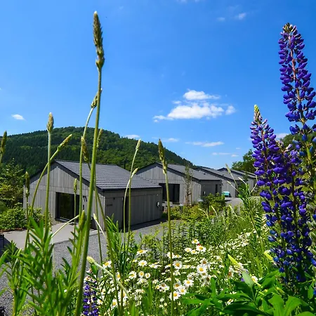 Sauerland - Haus Luise * Winterberg